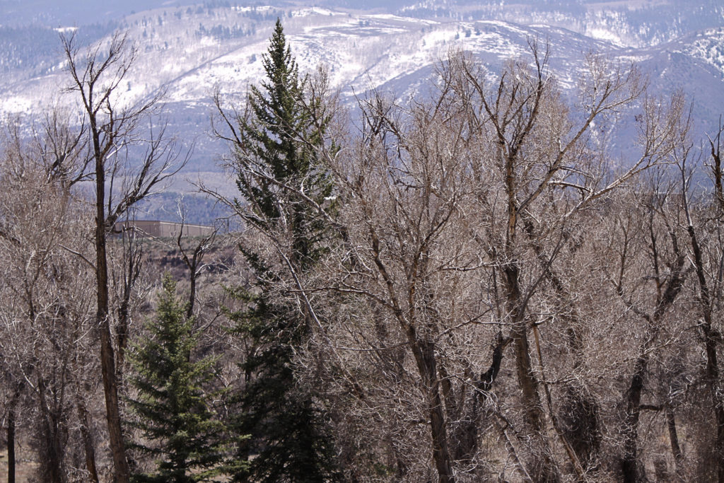 glenwood springs photographer