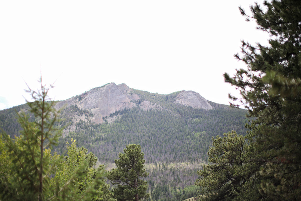 Estes Park Wedding Photographer