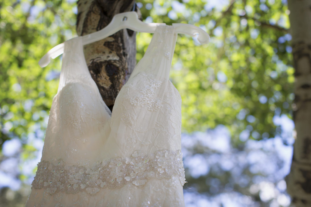 bridal gown portrait