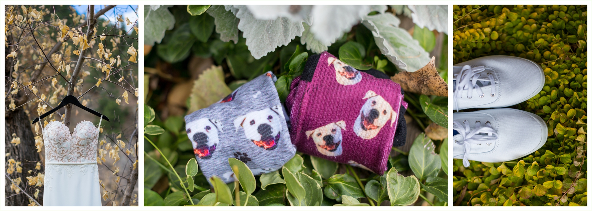 wedgewood boulder creek wedding bride groom matching dog socks