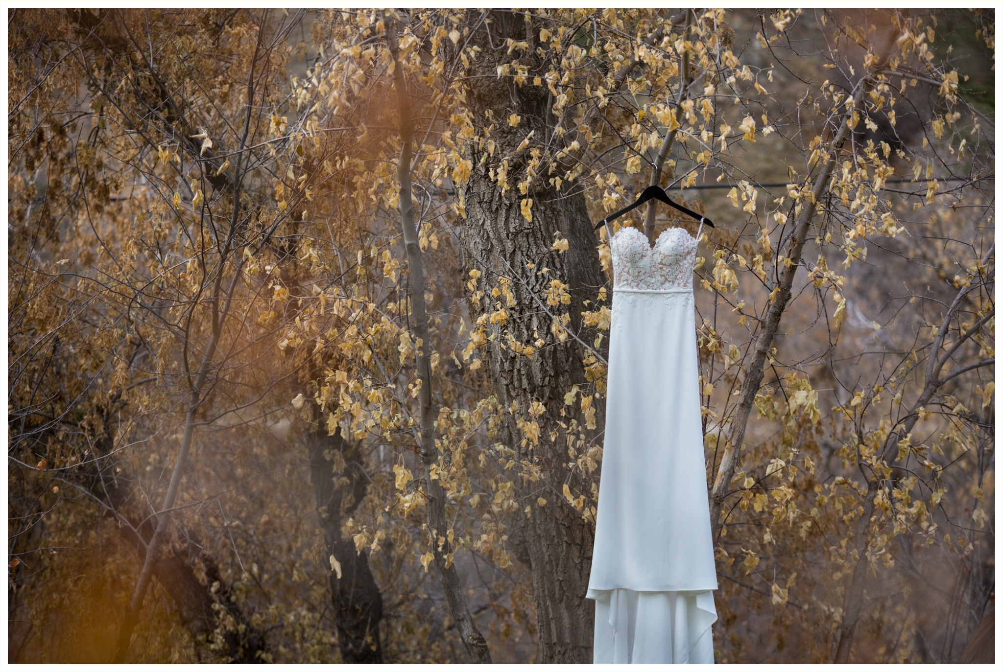 wedgewood boulder creek wedding bridal gown hanging in tree