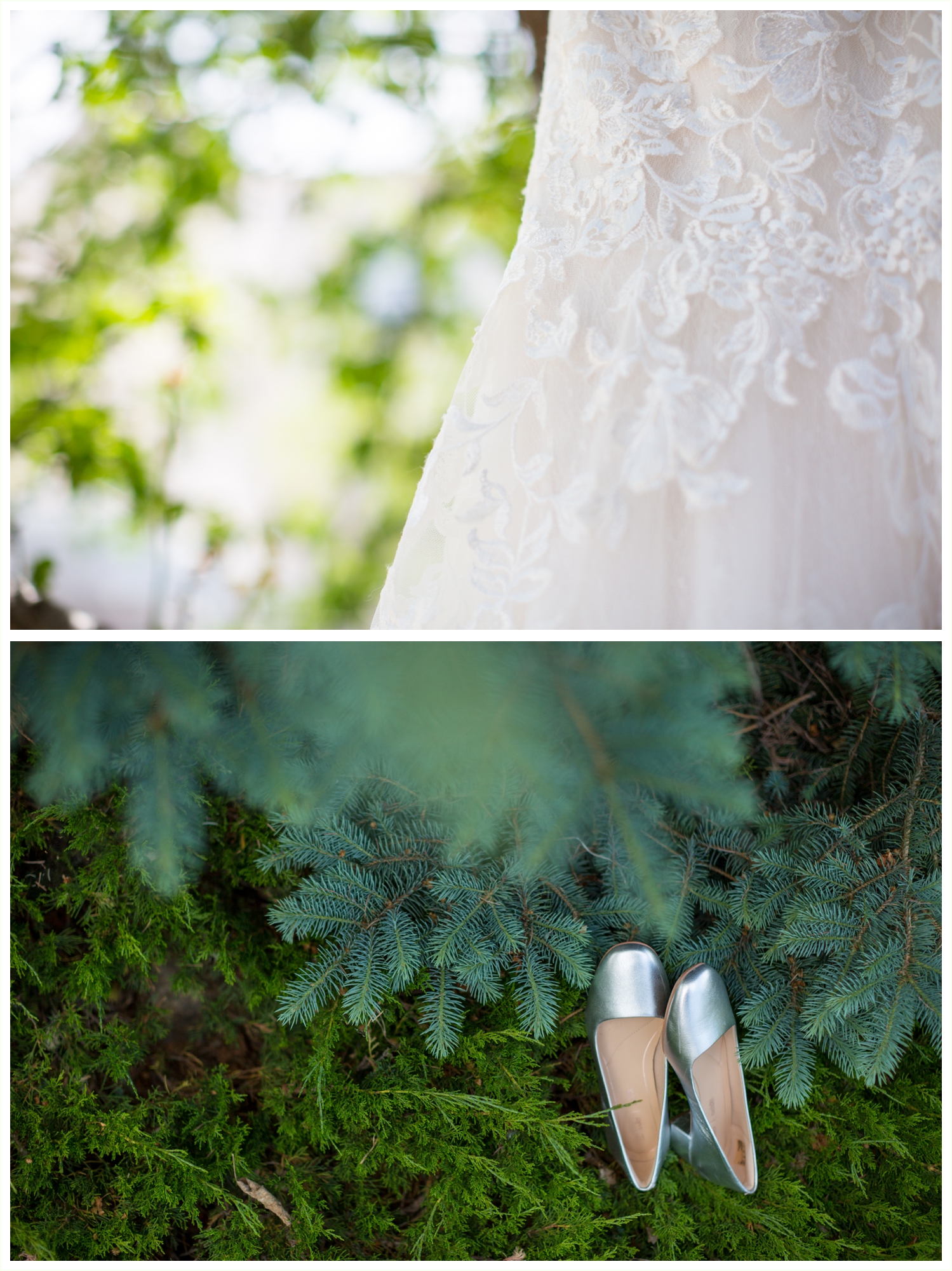 portraits of the bride